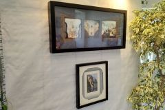 Expo Encadrement-Cartonnage - 02