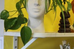 1-Expo-Terre-et-Volumes-13