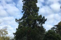 IMG-20221120-WA0006
